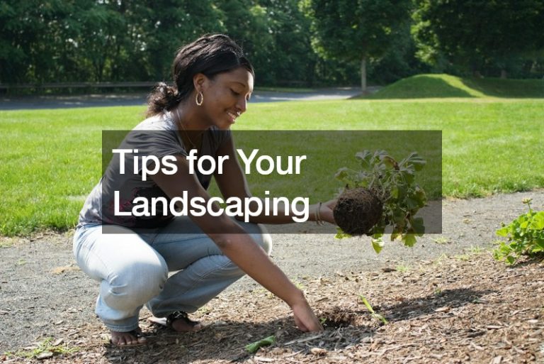 Tips for Your Landscaping