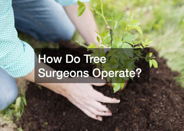 How Do Tree Surgeons Operate?