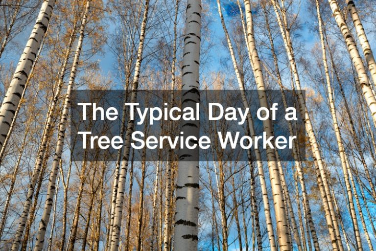 The Typical Day of a Tree Service Worker