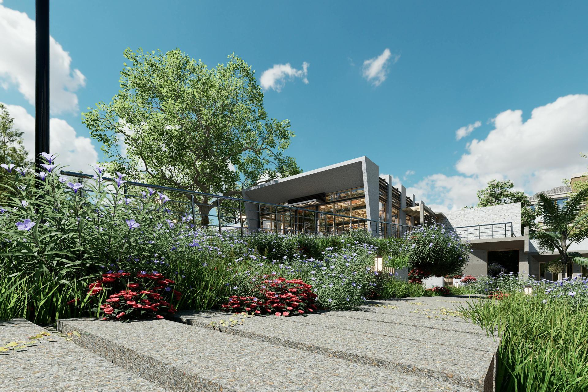 landscaping ideas where grass won't grow