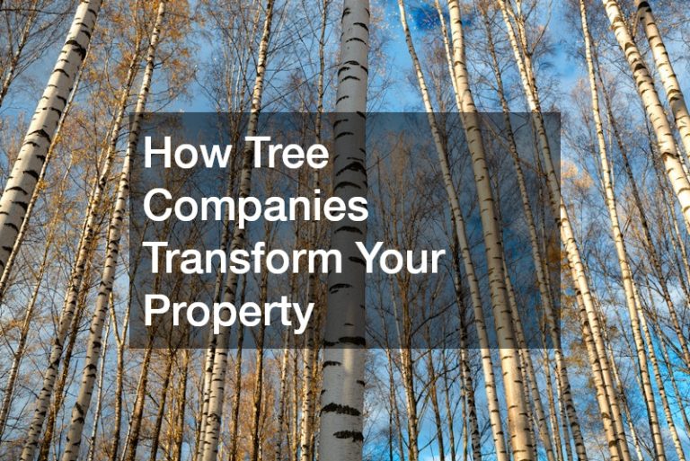 How Tree Companies Transform Your Property