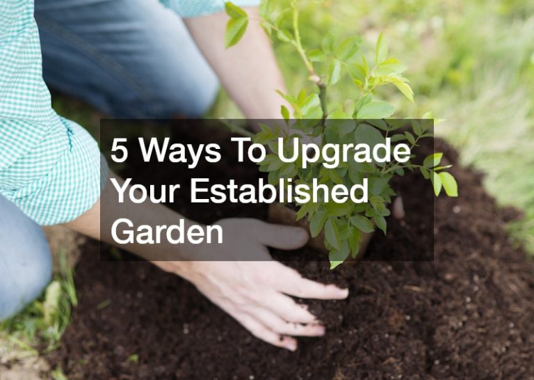 5 Ways To Upgrade Your Established Garden